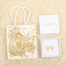 Christian Dior Earrings